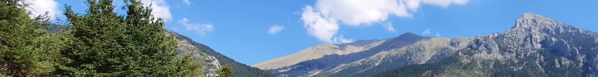 Trails des Millefonts Mercantour banner
